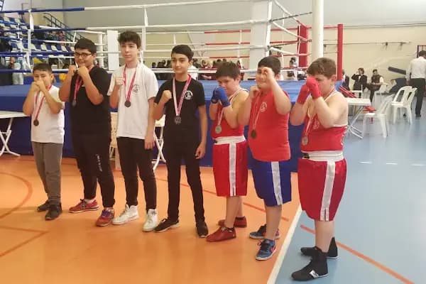 Demirkol Boks Spor Kulübü - Boks Kulübü - İstanbul Adalar