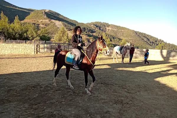 ÇAĞRI BİNİCİLİK VE ATLI SPOR KULÜBÜ - At Binme Hizmeti - Manisa Kula