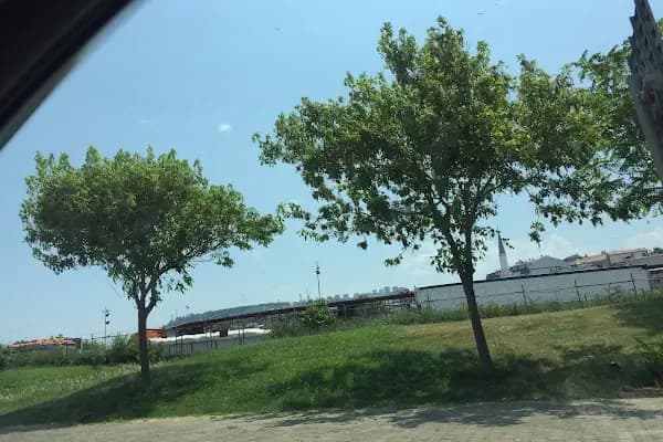 Trabzon Belediyesi Toptancı Meyve Ve Sebze Hal Müdürlüğü - Resmi Kurum - Trabzon Ortahisar
