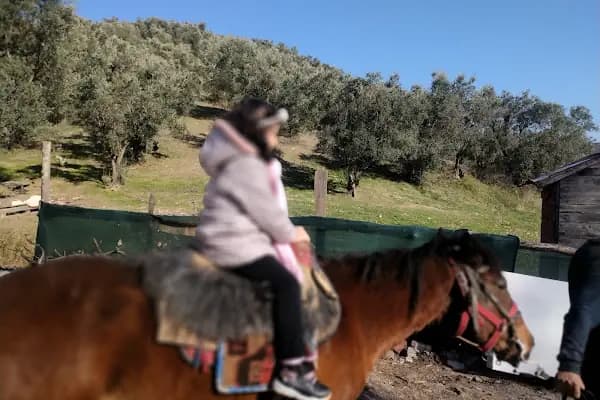 Gizli Vadi Binicilik Kulübü - Binicilik Kulübü - Bursa Yıldırım
