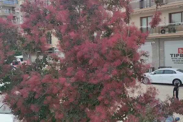 Özel Karşıyaka Diyaliz Merkezi - Diyaliz Merkezi - İzmir Konak