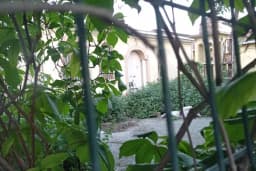 Aya Paraskevi Rum Ortodoks Kilisesi