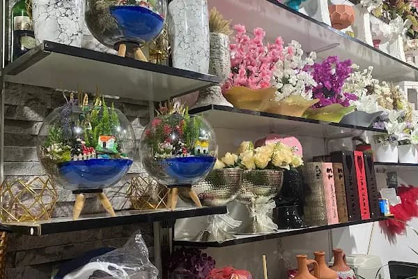 orkide çiçekçilik - Çiçekçi - Mersin Aydıncık