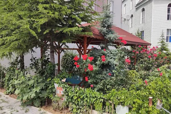 Elmadağ Çiğ Köfteci Samet Usta - Akkız'ın Yeri - Restoran - Ankara Elmadağ