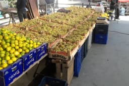 NAZ BÜFE & ŞARKÜTERİ MARKET