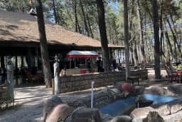 Kozalak Cafe