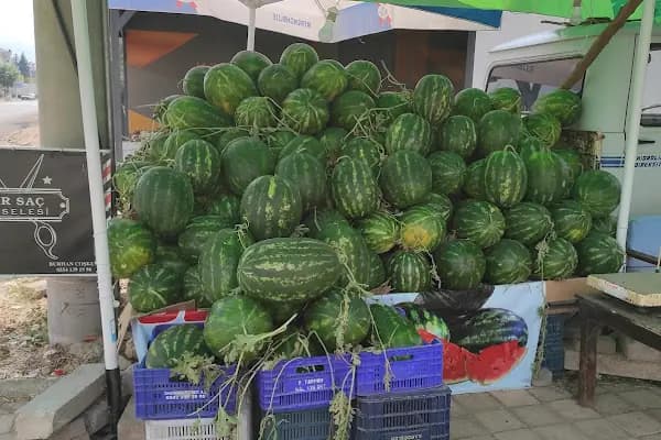 Karpuzcu SEBO - Meyve Sebze Satış Yeri - Antalya Döşemealtı