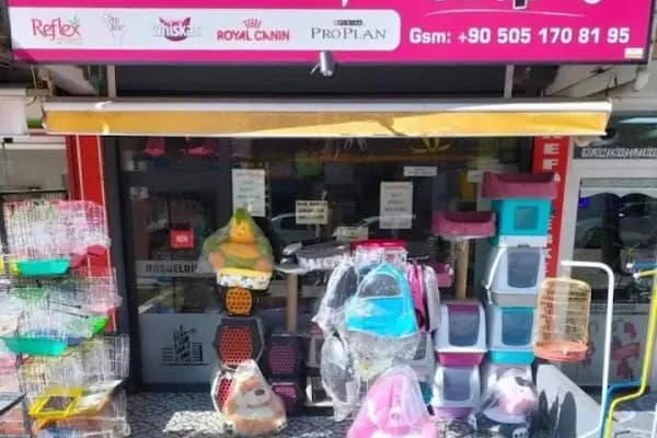 altıntaş petshop - Evcil hayvan mağazası - Ankara Sincan
