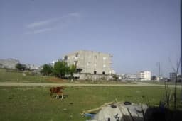 Bayındır Mh. Muhtarlığı