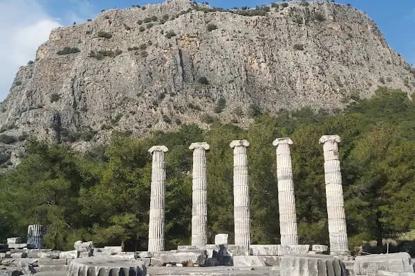 Priene Athena Tapınağı - Tarihi Yer - Aydın Didim