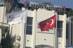 Stage Vets Hayvan Hastanesi