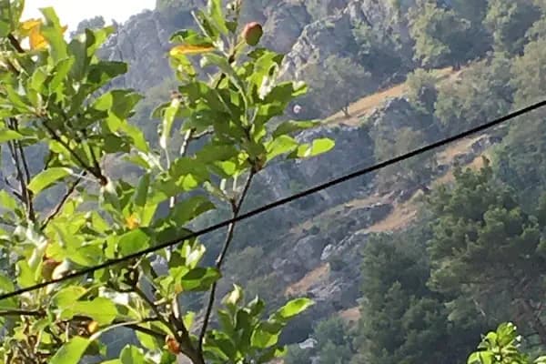 Bedirettin Çam’ın Malikhanesi - Konut Sitesi - Adana Karataş