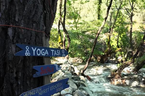 Oleo Camping - Kazdağları (TrolTunga) - Kamp Alanı - Balıkesir Bigadiç