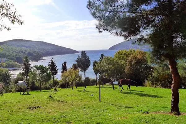 Değirmen Burnu Tabiat Parkı - Milli Park - İstanbul Arnavutköy