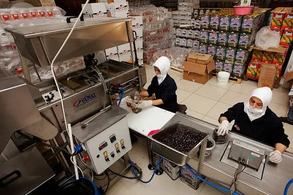 Nebioğlu Zeytincilik - Zeytin Ana(TOKENFLEX, PAYE KART, TICKET, SODEXO, METROPOL CARD, SETCARD, MULTİNET Online Alışveriş) - Organik Gıda Marketi - Bursa Gemlik