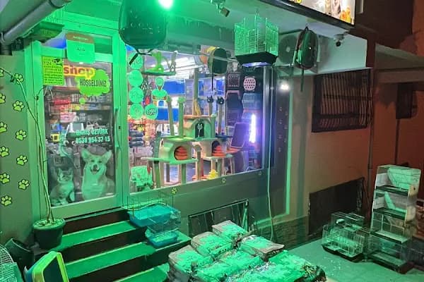 PetJax Petshop &amp; Pet Kuaför Alo Mama - Evcil Hayvan Kuaförü - Ankara Çamlıdere