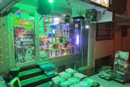 PetJax Petshop &amp; Pet Kuaför Alo Mama