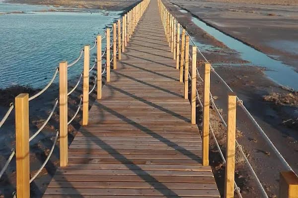 Cayagzi Kampi - Çocuk Kampı - İzmir Balçova