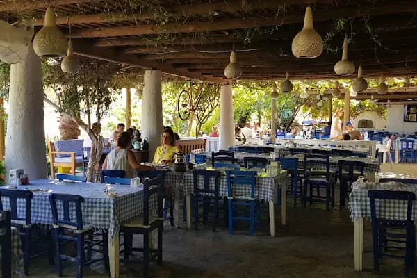 Asmalı Çardak Kahvaltı Evi - Kahvaltı restoranı - Muğla Bodrum