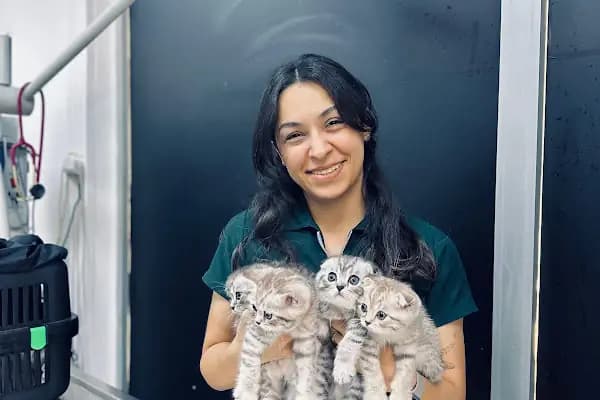 PETAMOR VETERİNER KLİNİĞİ - Veteriner - İzmir Buca