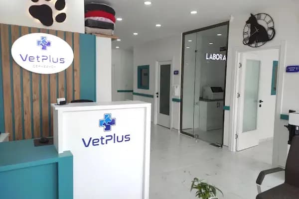 Çerkezköy VetPlus Veteriner Kliniği - Veteriner - Tekirdağ Çerkezköy