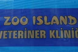 Zoo Island Veteriner Kliniği