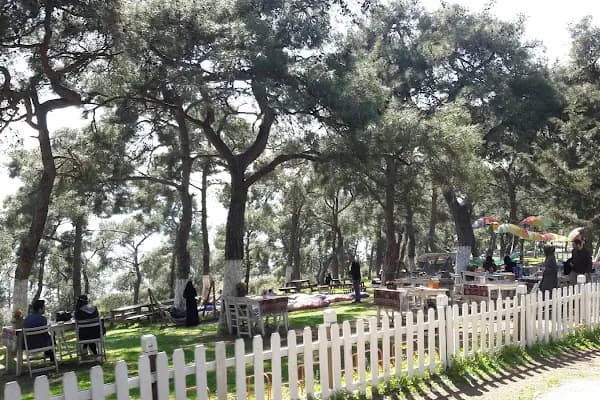 Maden - Administrative Area4 - İstanbul Adalar
