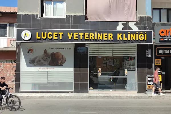 LUCET VETERİNER KLİNİĞİ - Veteriner - İzmir Bornova