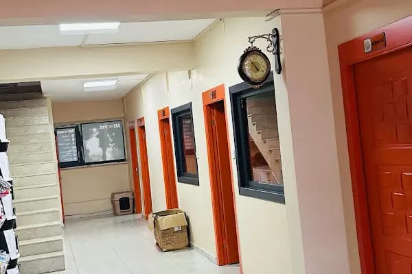 Mi Life Vet Veteriner Muayenehanesi - Veteriner - Gaziantep Şehitkamil