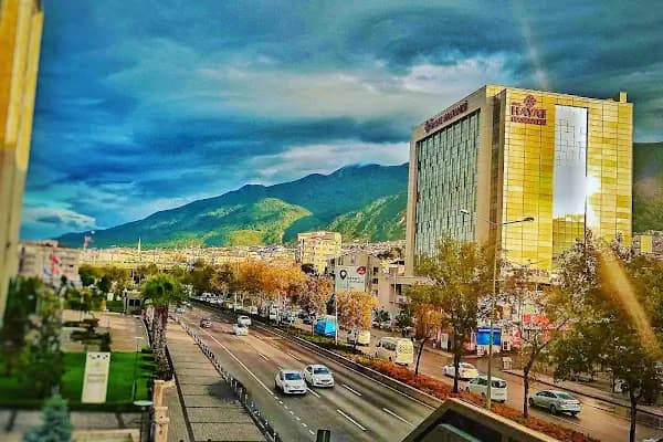Özel Hayat Hastanesi - Hastane - Bursa İnegöl