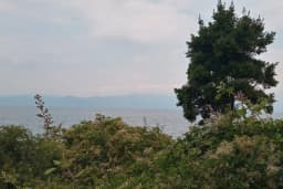 Ptt-kurşunlu Şubesi