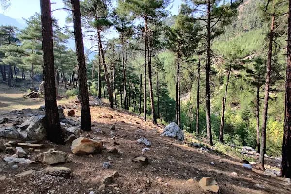 Aladağlar Milli Parkı İdare ve Ziyaretçi Tanıtım Binası - Milli Park - Kayseri Yahyalı