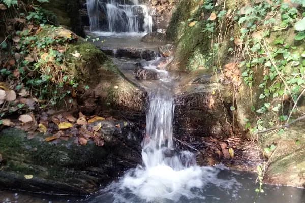 Sekbanlı Köyü Korusu - Milli Park - Kocaeli Gölcük