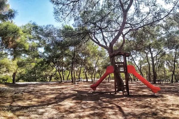 Kuyuluk Tabiat Parkı - Milli Park - Mersin Aydıncık
