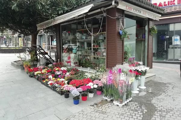 Can Çiçek Evi | Altıparmak Çiçekci, Çarşamba Çiçekci, Çiçek Siparişi - Çiçekçi - Bursa Orhangazi