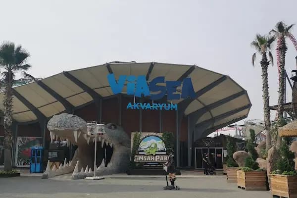 Toyzz Shop Viaport Marina Outlet - Oyuncak mağazası - İstanbul Ümraniye