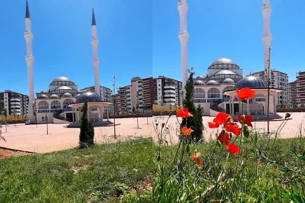 İbni Sina Cami - Cami - Gaziantep Şahinbey