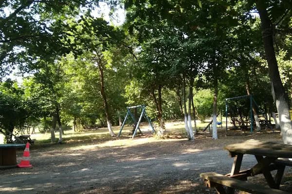 Baklalı Piknik Alanı - Piknik Alanı - İstanbul Arnavutköy