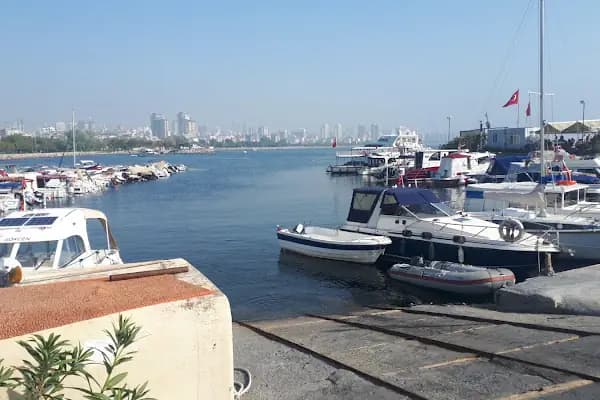 Dragos Limanı - Liman İşletmesi Şirketi - İstanbul Adalar