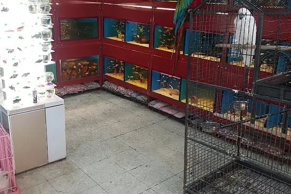 Çağlayan pet shop - Evcil hayvan mağazası - Şanlıurfa Suruç