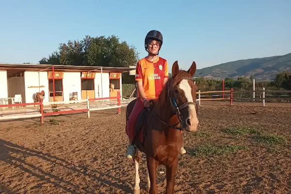 TabiAt Ana At Çiftliği - Binicilik Kulübü - Aydın Efeler