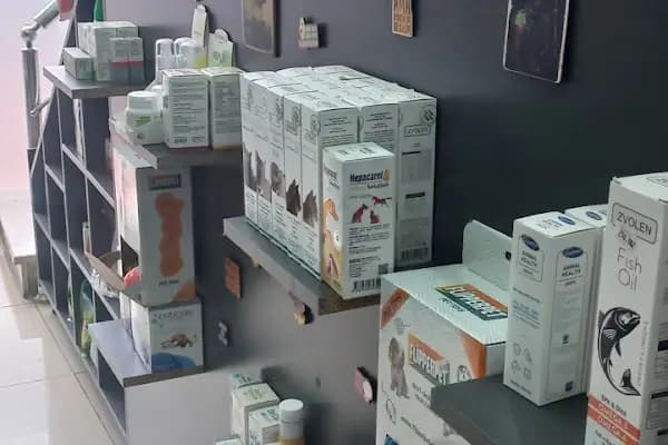 Akdere Veteriner Kliniği - Veteriner - Ankara Altındağ