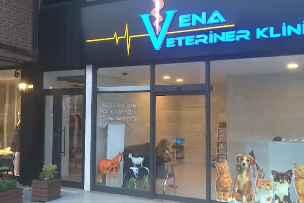 Vena Veteriner Kliniği - Veteriner - Bursa Nilüfer