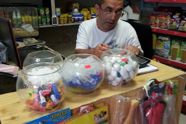 Yağmur Akvaryum Petshop Yenimahalle - Evcil hayvan mağazası - Kocaeli Çayırova