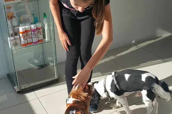 Pruva Veteriner Kliniği - Veteriner - İstanbul Ataşehir