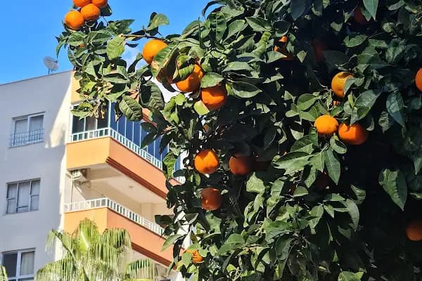Sümer 3 Tatil Sitesi - Konut Geliştirme - Antalya Alanya
