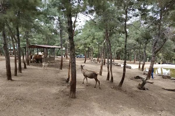 Gaziantep Hayvanat Bahçesi Binicilik &amp; Pony Club - Binicilik Kulübü - Gaziantep Şahinbey