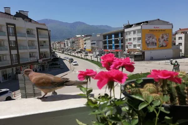 Gürsu - Yerleşim Yeri - Bursa Osmangazi