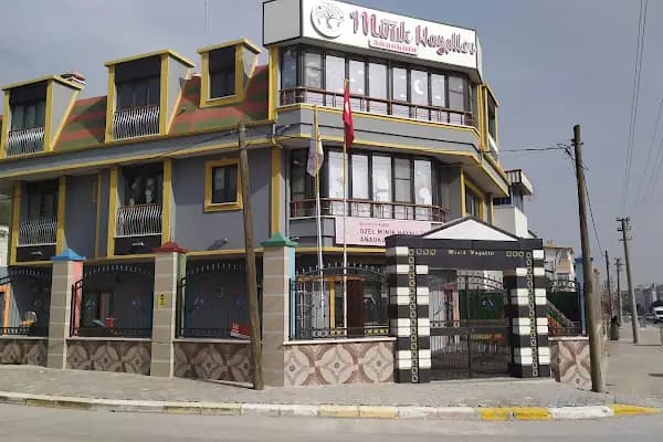 Özel Minik Hayaller Anaokulu - Anaokulu - Balıkesir Karesi