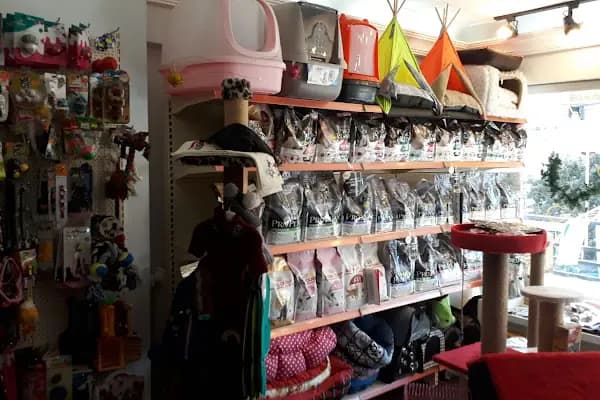 MiniPati Pet Shop - Evcil hayvan mağazası - İstanbul Üsküdar